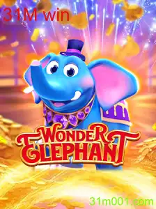 WonderElephant